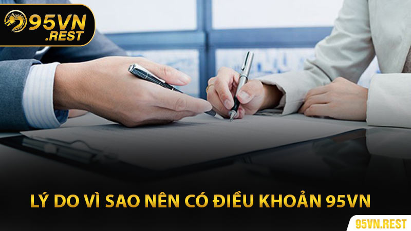 Lý do vì sao nên có điều khoản 95vn